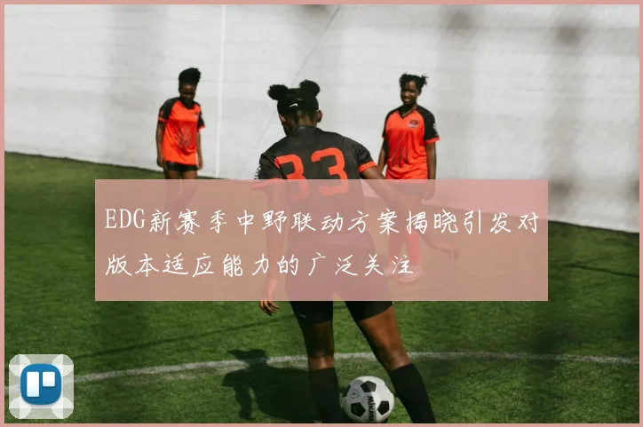 EDG新赛季中野联动方案揭晓引发对版本适应能力的广泛关注