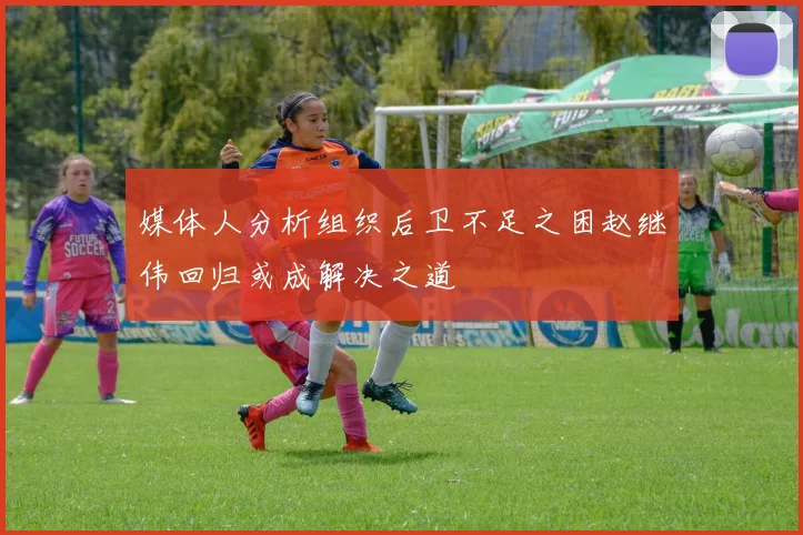 媒体人分析组织后卫不足之困赵继伟回归或成解决之道